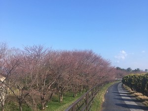 040303.jpg