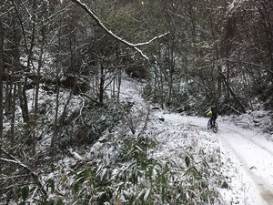 171119-02.JPG