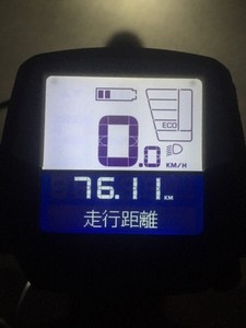 0131-03.JPG