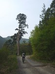 140526-004.jpg