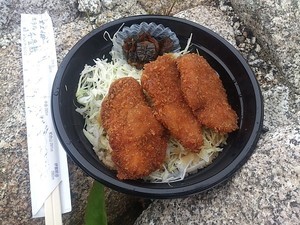 160612-008.jpg