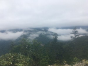 190603.jpg
