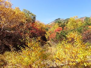 8 途中の風景バイク無し.jpg