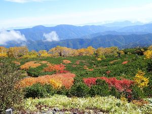 9-5 箱庭のような紅葉.jpg