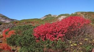 IMG_6096.jpg