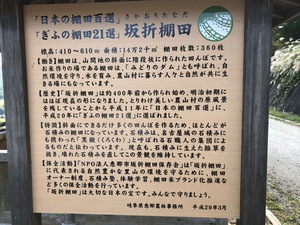 IMG_6520.JPG